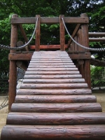 IMG_9125.jpg