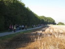 IMG_5770.jpg